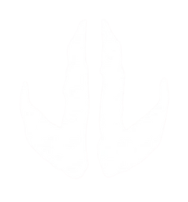 Lunar Labs Logo
